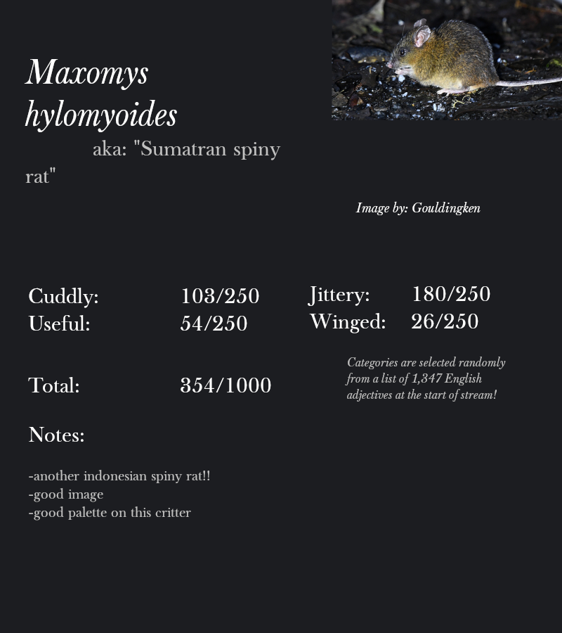 Maxomys hylomyoides